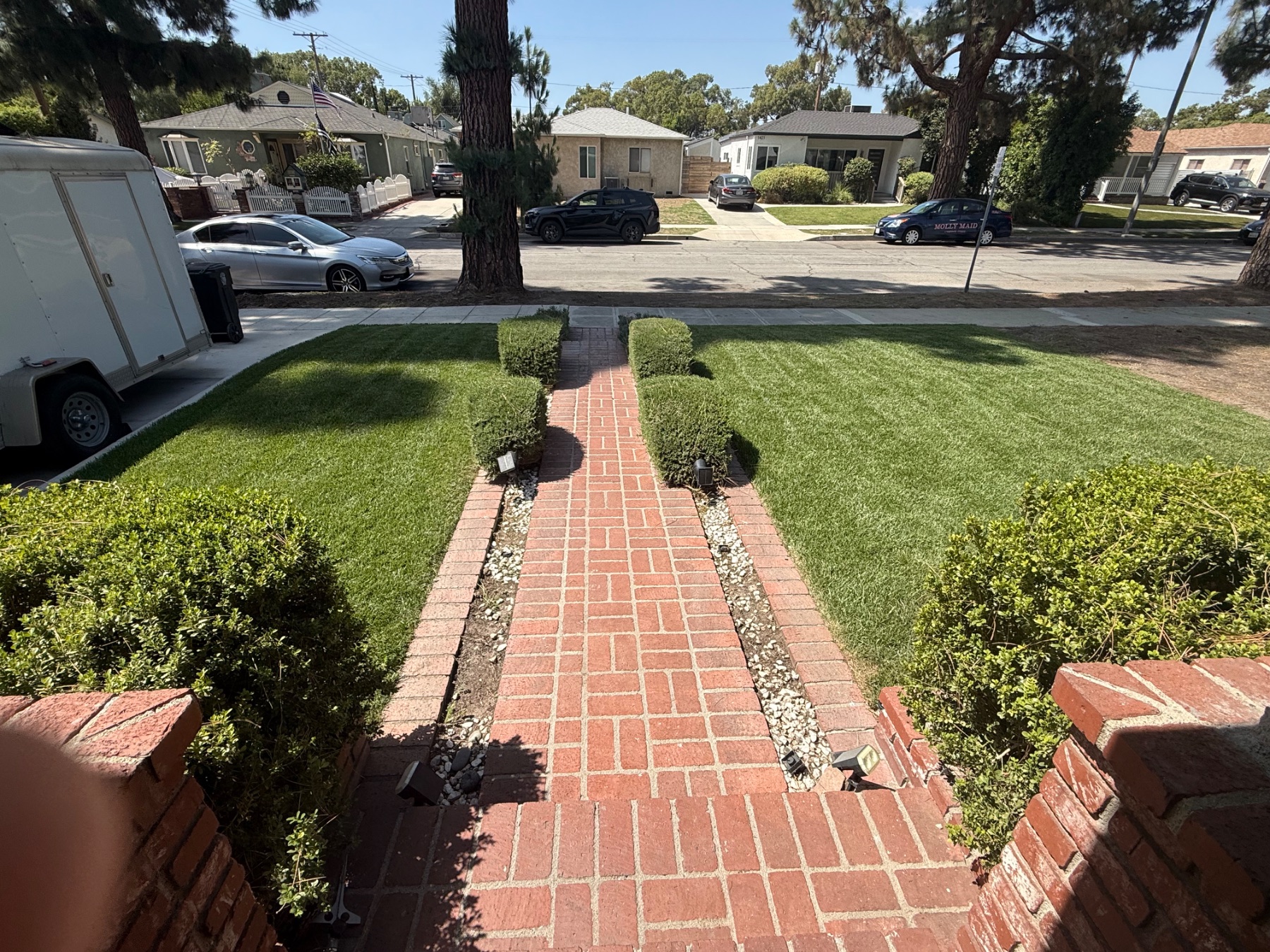 New Sod in Burbank