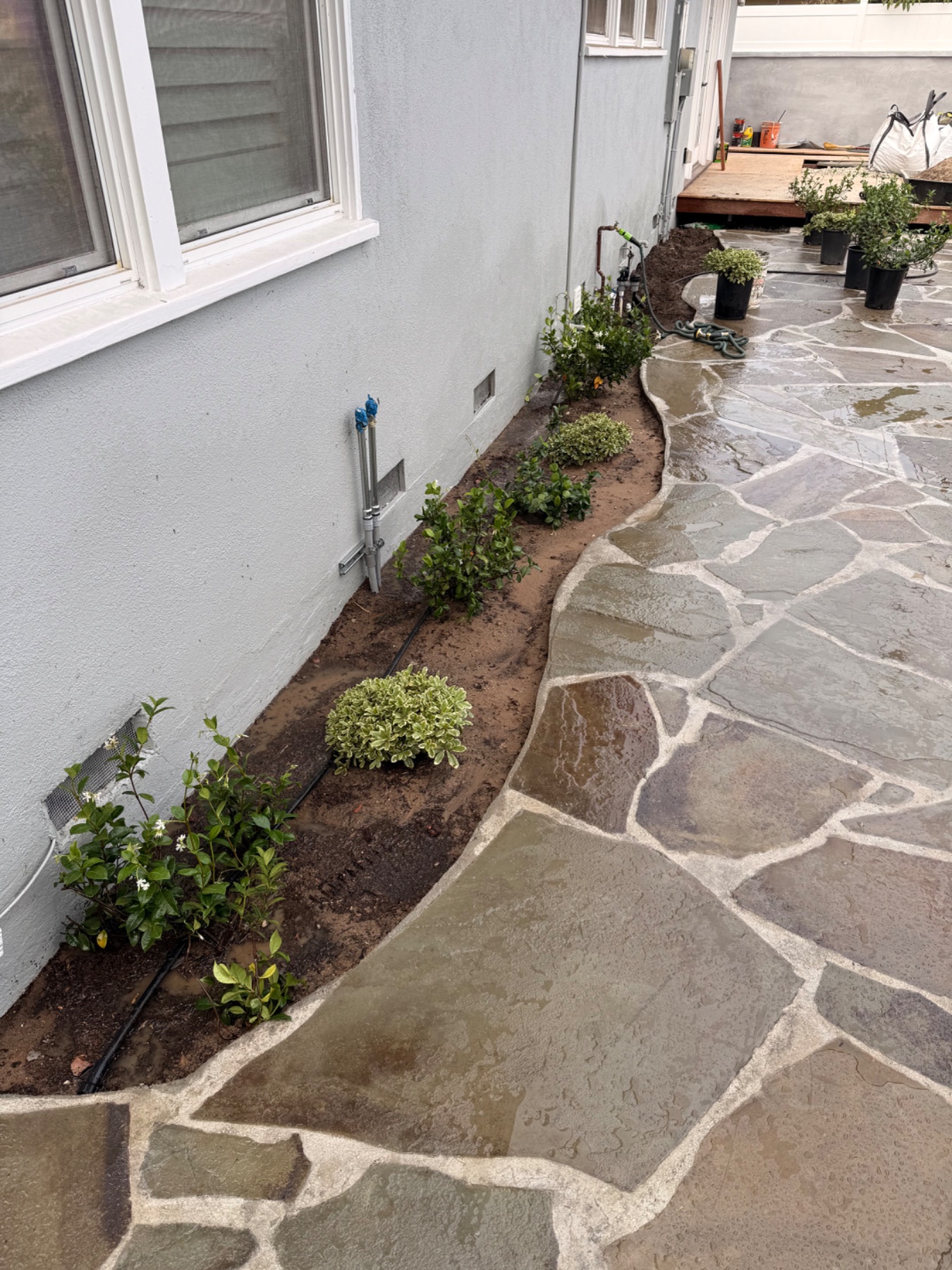 New drip line and planting plants in Torrance