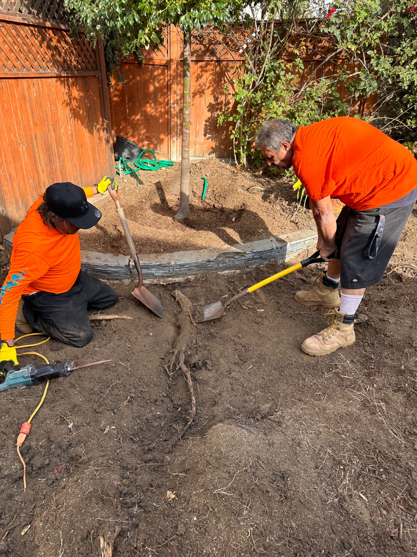 Tree removal, root removal demolition, and landscaping in Hancock Park